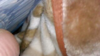 סרטים כחולים לצפייה ישירה בחינם
